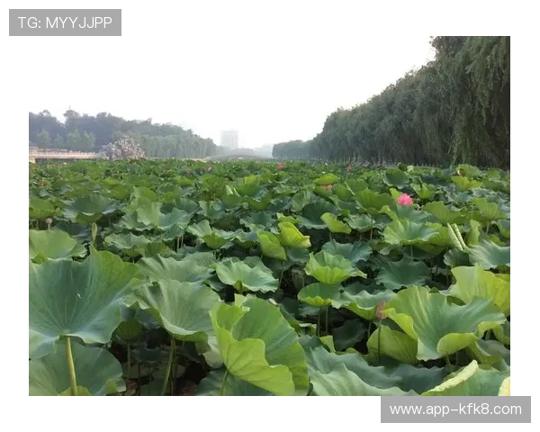 凯发k8娱乐平台积极响应行业规范推动绿色健康娱乐环境建设 凯发k8娱乐平台积极响应行业规范推动绿色健康娱乐环境建设