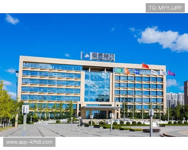 k8凯发国际最新网址官方入口最新版本上线，优化用户体验提升游戏流畅度