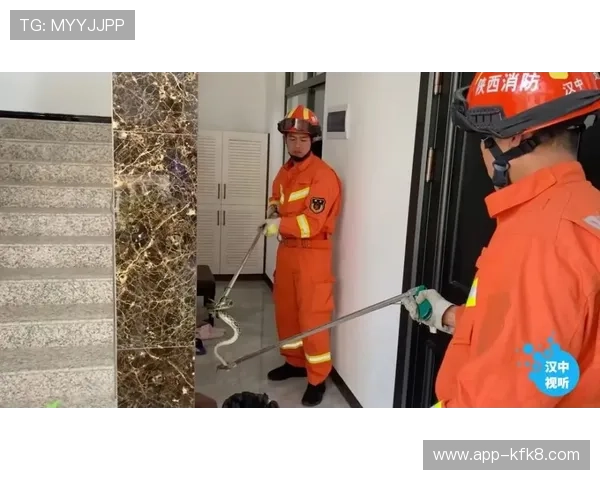 K8电子官网安全可靠的支付方式与资金保障措施全面解析